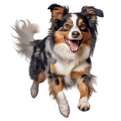 Fototapeta premium A happy and smiling jumping dog in the air on a transparent background.