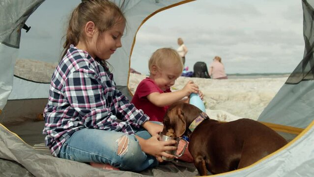 Children give water from a mug to a dachshund in a tent on a camping trip.