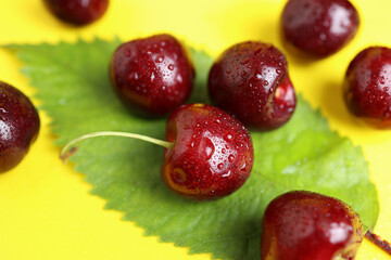 Ripe cherry berries on a green leaf with water droplets on a yellow background. Close-up