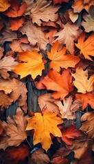 Autumn orange leaves on wooden floor