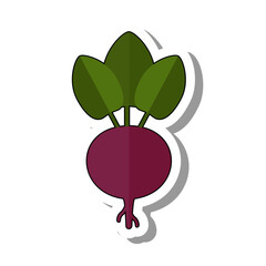 Purple beet root with green leaves flat paper sticker. Ripe healthy vegetable or edible plant for cooking and eating isolated on white background. Seasonal harvest, farming, cuisine concept