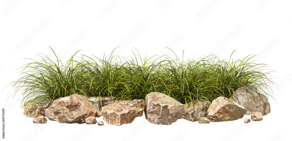 Poster isolated lined grass and rock composition layout on transparent backgrounds 3d render png
