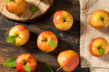 Naklejka na ściany i meble Healthy Organic Royal Gala Apples
