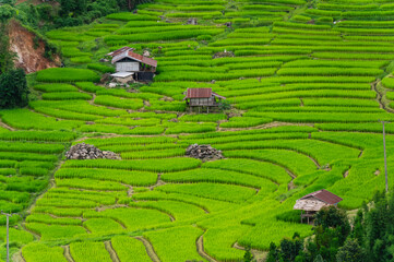 Rice terraced fields and a small village house in Chom Thong, Chiang Mai, Thailand.