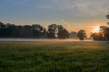 Abwaschbare Fototapete Morgen mit Nebel Sonnenaufgang mit Bodennebel