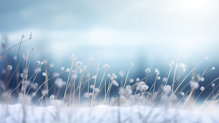 Bokeh Style: Snowy Field and Delicate Flowers