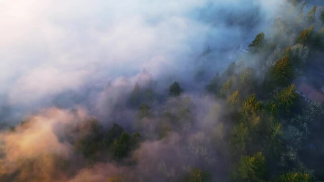 Aerial Videography of Heavy Fog over Forest in West Salem Oregon