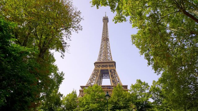 Eiffel Tower in the city of Paris surrounded by nature - travel photography