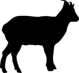 Silhouette goat animal farm on a white background