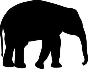 Fototapeta premium Silhouette large African elephant on a white background