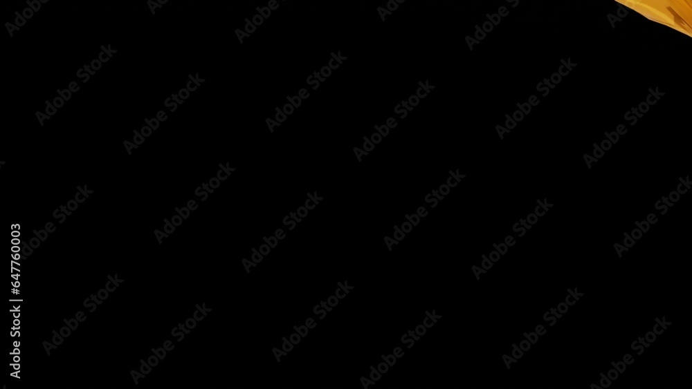 Poster abstract colorful background animation with transition to black