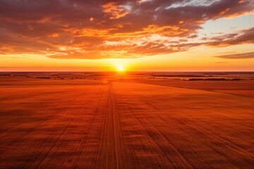 Fototapeta na wymiar A picturesque sunset over a vast field
