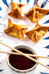 Fried wontons with soya sauce on a vibrant colorful background - 647763688