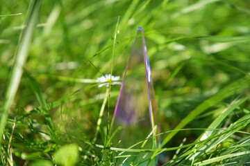 transparent prism standing in grass