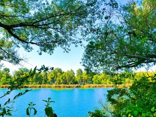 Natur in Wien