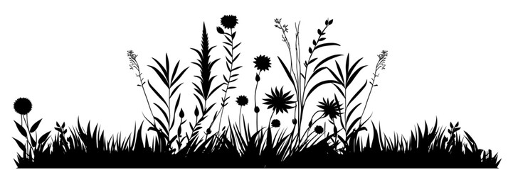 meadow silhouette, grass silhouette