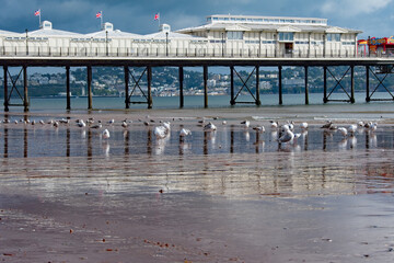 Pier Cast Reflections The Sand