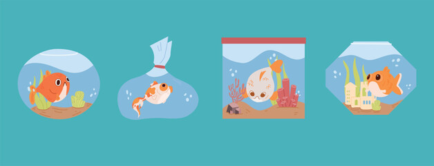 Fototapeta premium Cartoon home aquarium with fish, corals, plants and decor. A set of aquariums with goldfish.