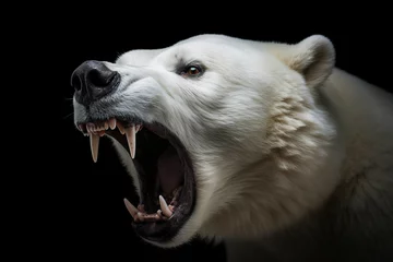 Schilderijen op glas polar bear in furious attack © Jorge Ferreiro