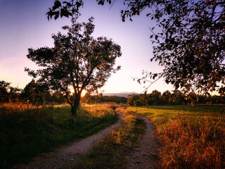sunset in the countryside