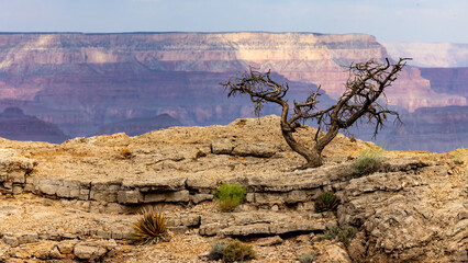 Grand Canyon National Park - South Rim - Lonely Crag