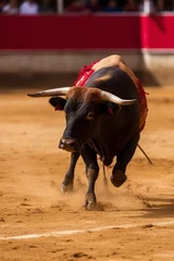 Poster Im Rahmen traditional bullfight in Spain © Jorge Ferreiro