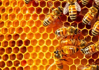 Fotobehang Yellow honeycomb with bees making healthy honey on sunny summer day.Macro.AI Generative © DenisMArt