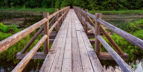 Wooden trail by the lake in Canadian Nature.