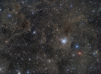 Iris Nebula in Cepheus