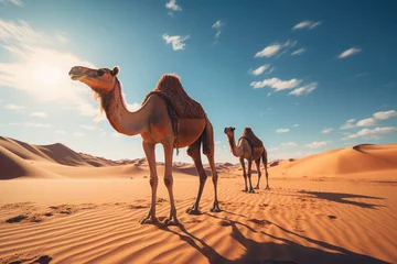 Schilderijen op glas Portrait of a camel in the desert against a blue sky © Michael