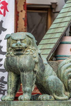 Asakusa, Tokyo, Japan - November 13, 2017: Agyo (Open Mouth) Bronze Komainu Lion-dog guardian at Asakusa Jinja or Sanja-sama (Shrine of the Three gods). Japan's Important Cultural Property