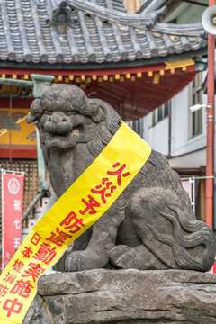 Asakusa, Tokyo, Japan - November 13, 2017: Agyo (Open Mouth) Stone carved Komainu Lion-dog guardian at Asakusa Jinja or Sanja-sama (Shrine of the Three gods). Japan's Important Cultural Property