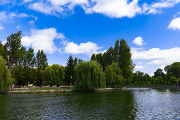 Obraz premium lake side walking parkland area of city landscaped place with water surface foreground in photo