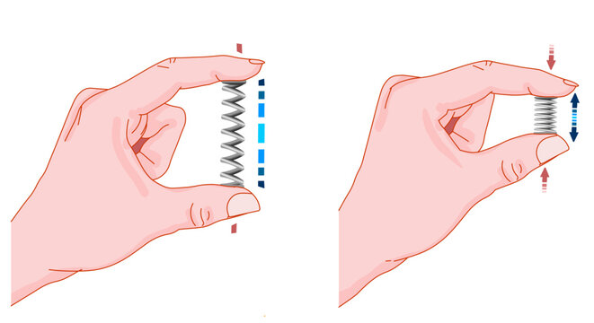 Metal spring stretched and clamped between fingers. Elasticity mechanics, hand resting, tension, coil velocity. Experiment lesson, homework test. Physics illustration vector