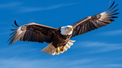 a graceful and powerful bald eagle soaring against a clear blue sky, symbolizing freedom and strength
