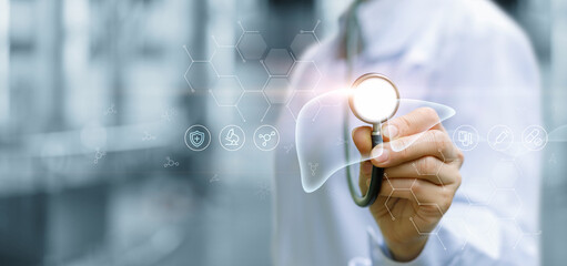 A doctor examines the liver using modern technology.