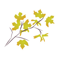 autumn leaves on branch isolated vector illustration on white background