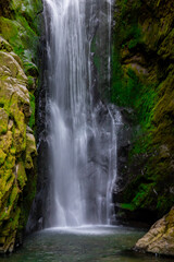 Fototapeta premium Pinard Falls Close Up Umpqua National Forest