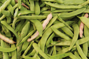 healthy food background of pods of green beans