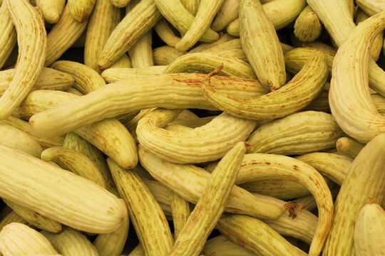 exotic vegetables Turkish cucumber (Acur or Hita)	
