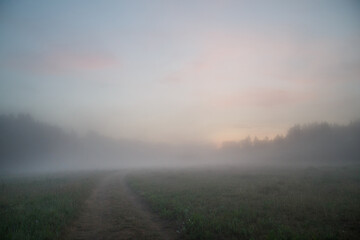 Landscape of evening fog at sunset over a field.