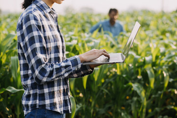 Agriculturist utilize the core data network in the Internet from the mobile to validate, test, and select the new crop method. Young farmers and tobacco farming