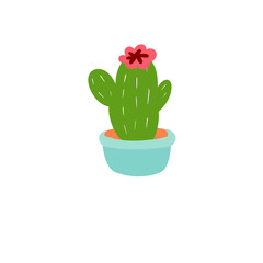 Cactus flower in a pot, illustration 