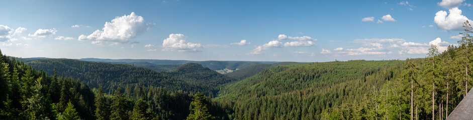 Panorama am Ellbachseeblick