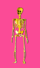 Funny yellow Halloween skeleton on pink background
