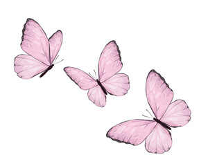 set of butterflies