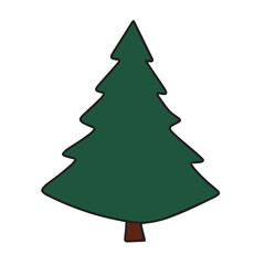 Fototapeta premium Spruce colored outline. Hand drawn pine tree, fir tree isolated on white background. Vector illustration.