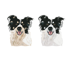 Border Collie dog portrait. Smiling giddy shepherd dog. The smartest dog. Sticker on a white background. Cute Smiling Black And White Border Collie Drawing. Cartoon style. Popular character.