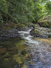 Fototapeta premium Paseo por Parque Nacional Santa Fe en Panamá 