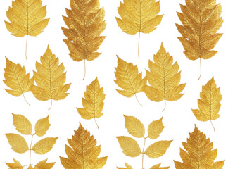 autumn leaves seamless pattern